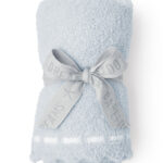 B551_BLUE_WHITE_AIRPLANE_TIED